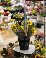 Southside Flower Market image 1